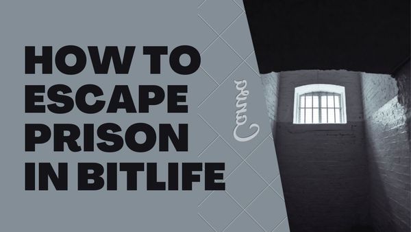 BitLife Simulator: How to escape the in-game Prison
